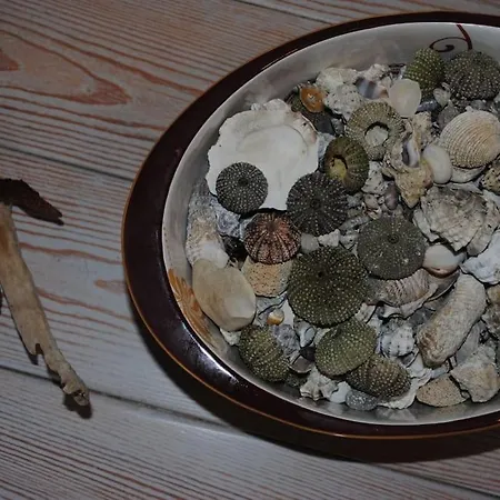 Thalassa Case de vacanță Nikiana